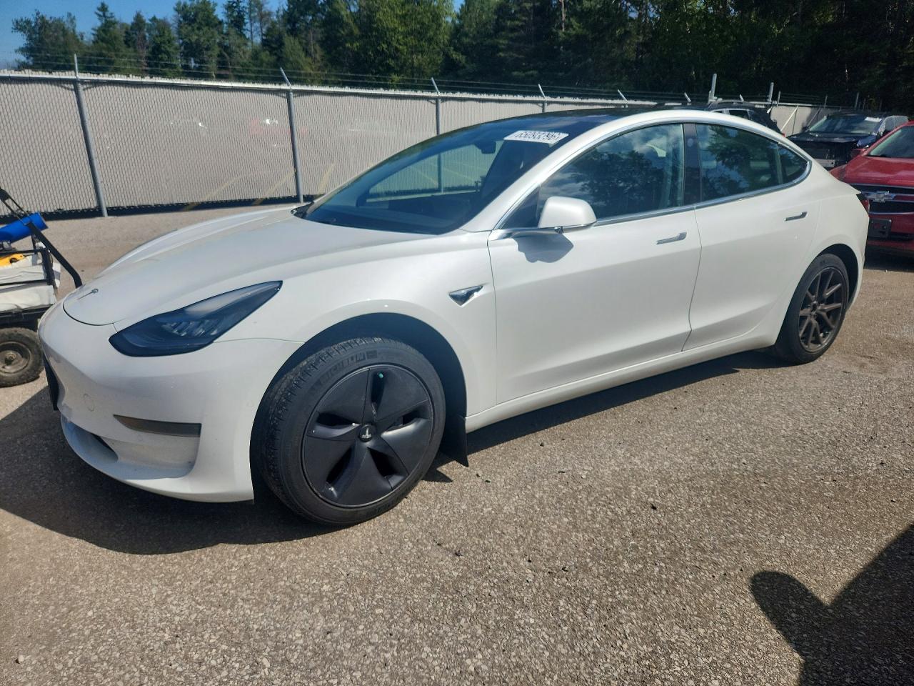 2019 TESLA MODEL 3