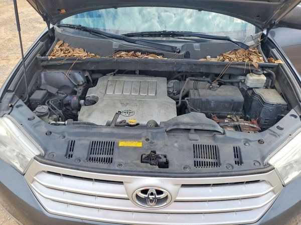 2013 TOYOTA HIGHLANDER Base/Hybrid