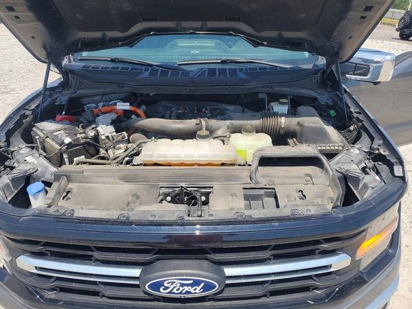 2024 FORD F150