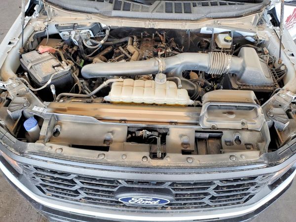 2025 FORD F150 XL