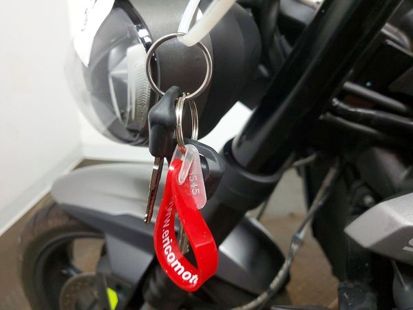 2024 TRIUMPH MOTORCYCLE STREET