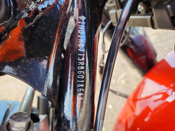 2024 HARLEY-DAVIDSON FL — VINP