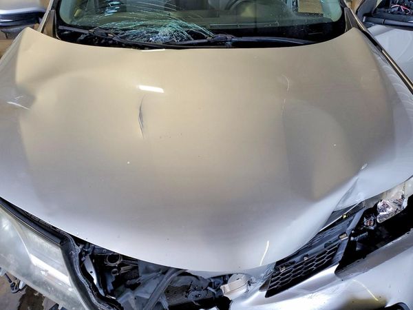 2015 TOYOTA RAV4 XLE (M Grade)