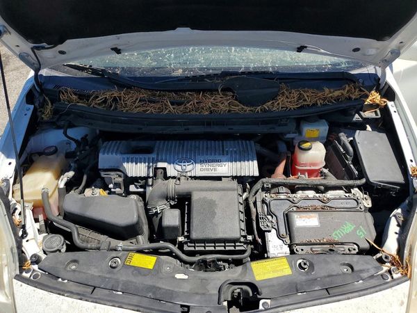 2014 TOYOTA PRIUS