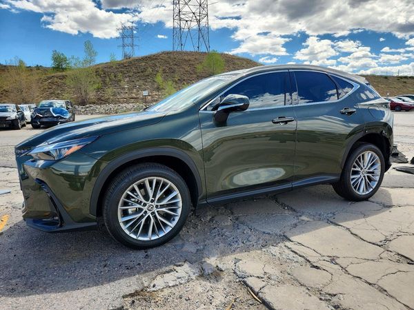 2025 LEXUS NX