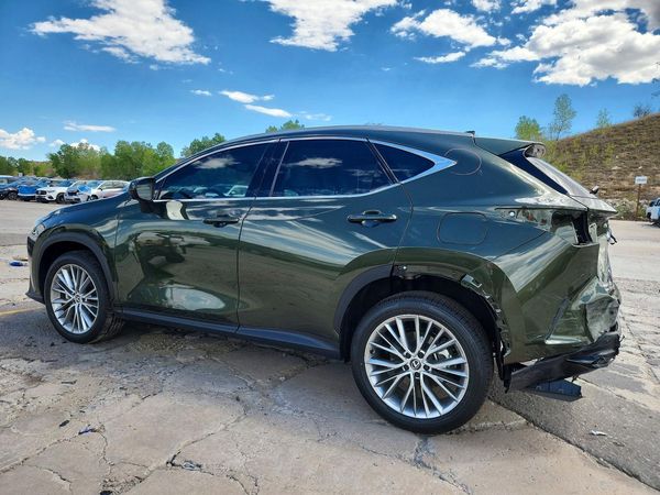 2025 LEXUS NX 350 Luxury