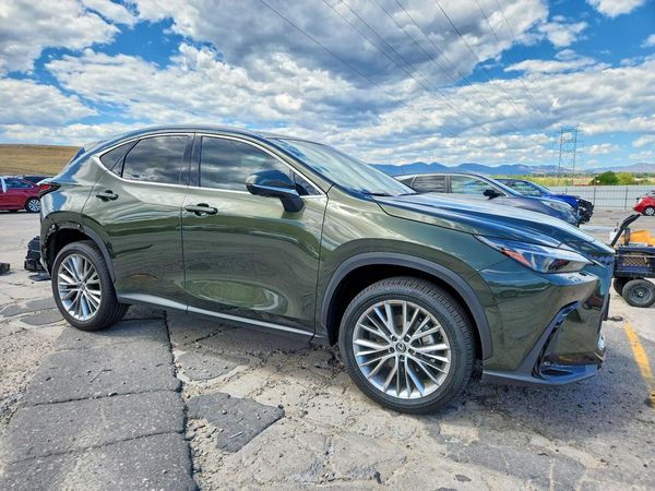 2025 LEXUS NX 350 Luxury