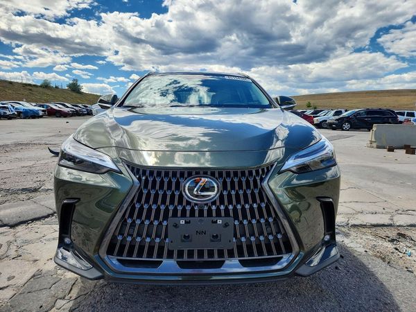 2025 LEXUS NX 350 Luxury
