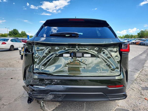 2025 LEXUS NX 350 Luxury