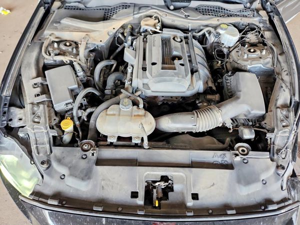 2019 FORD MUSTANG I4 Coupe