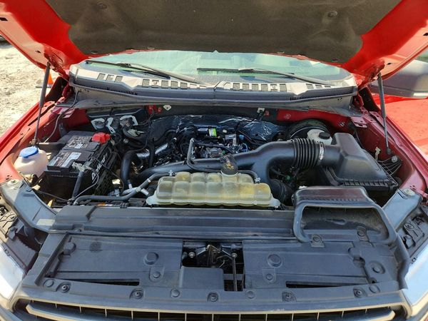2019 FORD F150