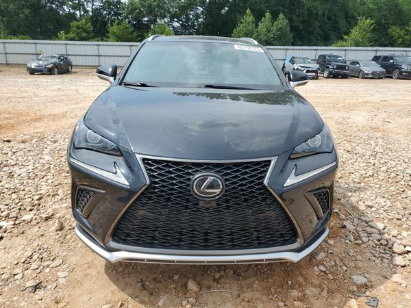 2019 LEXUS NX 300 300 Luxury