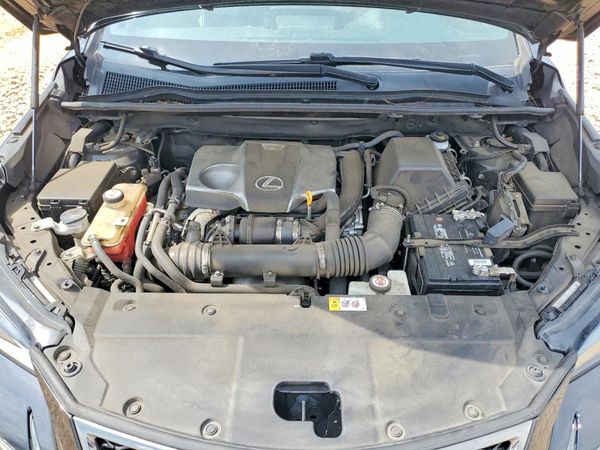 2019 LEXUS NX 300 300 Luxury