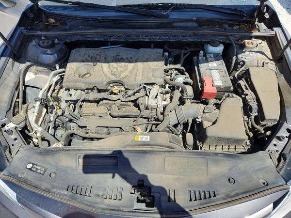 2019 TOYOTA CAMRY L/LE/SE/XLE
