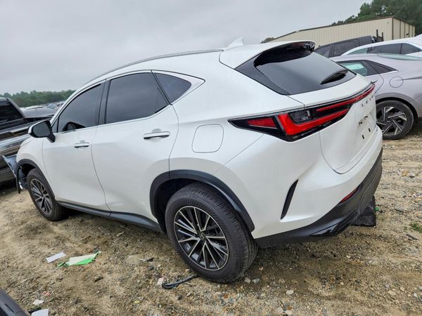2024 LEXUS NX 350