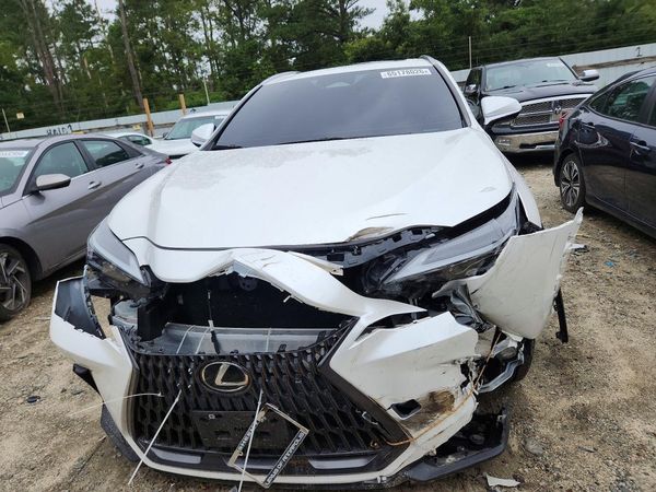2024 LEXUS NX 350