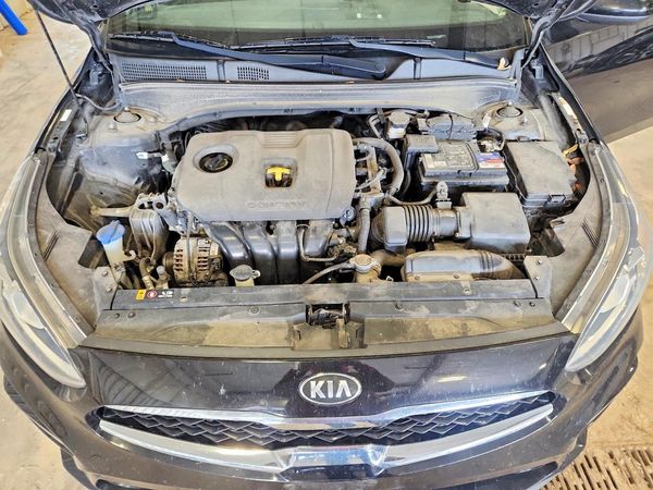 2019 KIA FORTE S/GT Line