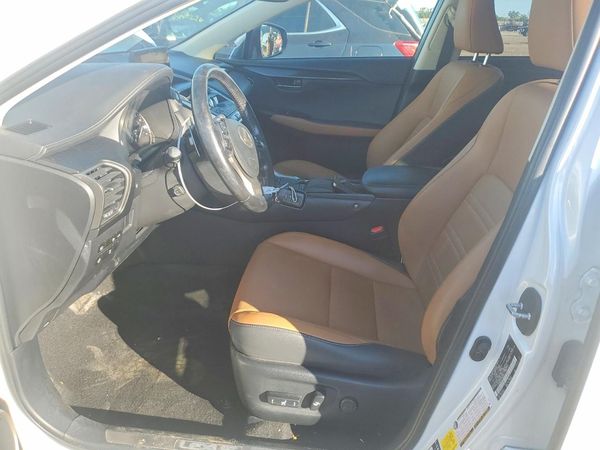 2020 LEXUS NX 300 Comfort