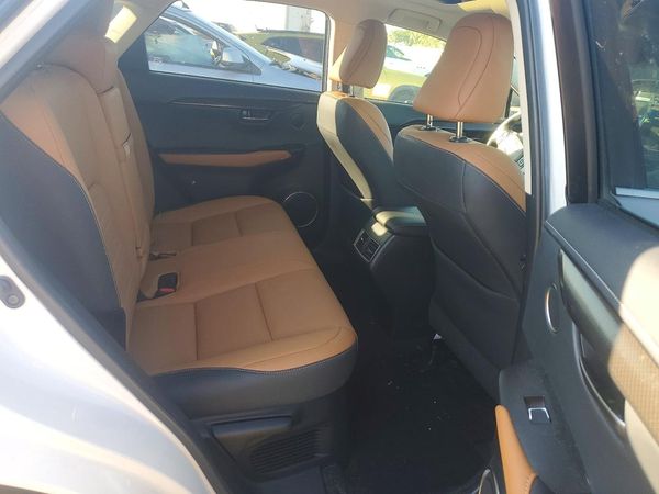 2020 LEXUS NX 300 Comfort