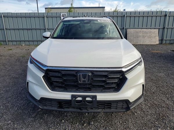 2025 HONDA CR-V Sport