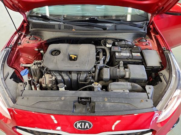 2019 KIA FORTE FE/LX/LXS