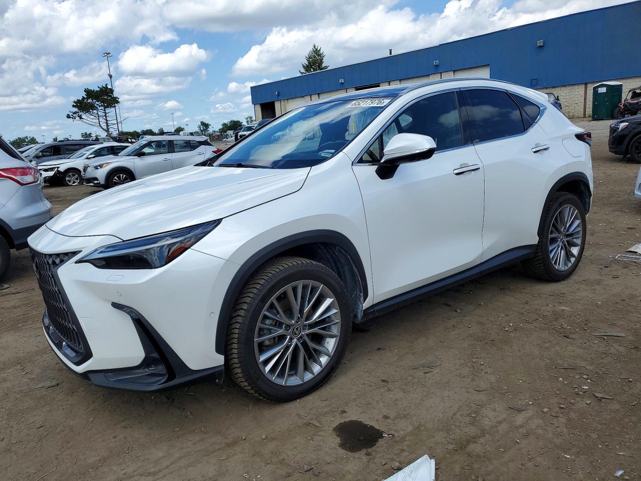 2024 LEXUS NX 350H 350h Luxury