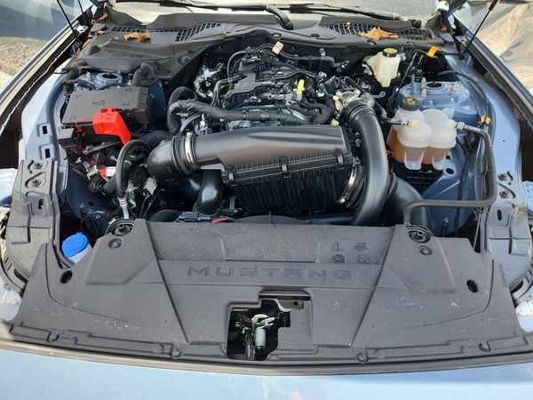 2025 FORD MUSTANG
