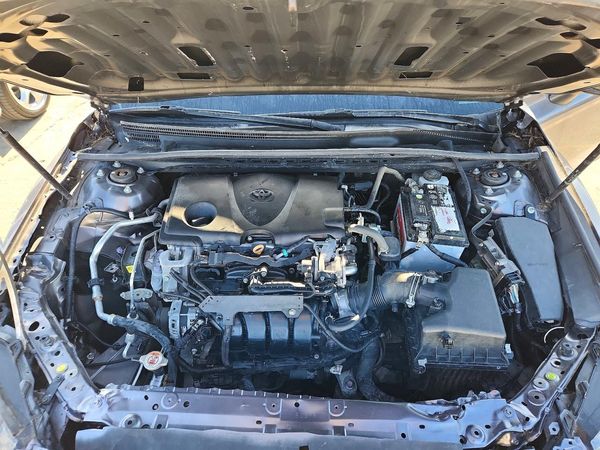 2019 TOYOTA CAMRY L/LE/SE/XLE