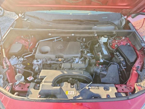 2019 TOYOTA RAV4 LE
