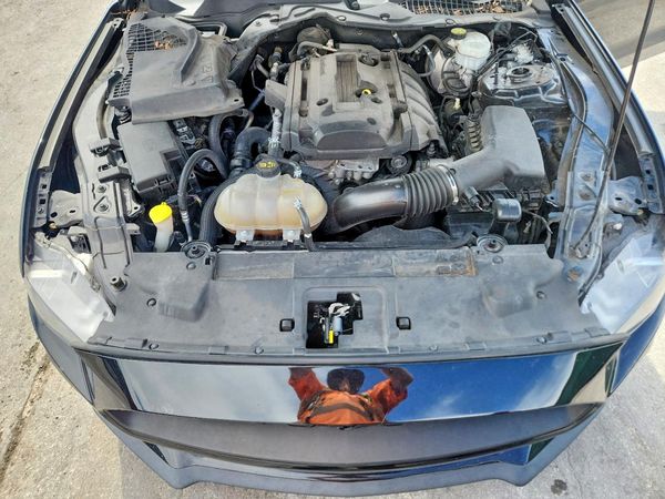 2019 FORD MUSTANG I4 Coupe