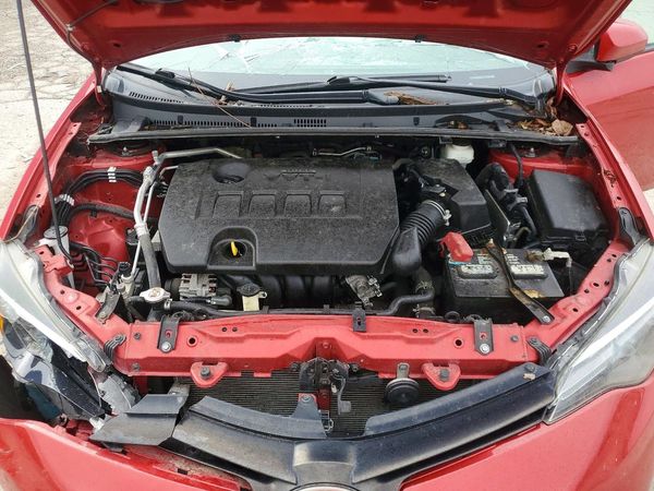 2019 TOYOTA COROLLA