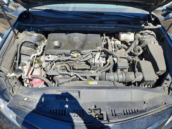 2019 TOYOTA CAMRY LE Hybrid
