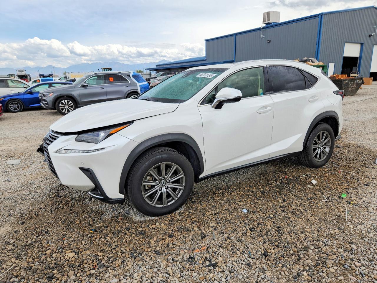 2019 LEXUS NX 300 300 Luxury