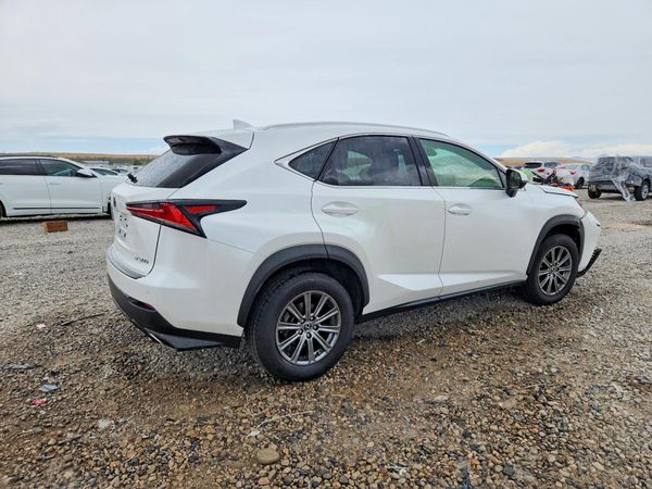2019 LEXUS NX 300 300 Luxury