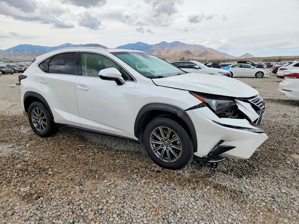 2019 LEXUS NX 300 300 Luxury
