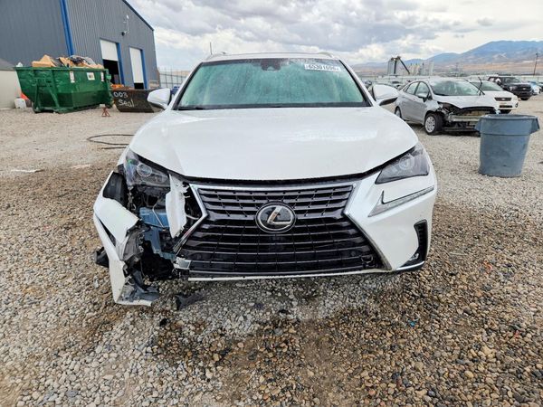 2019 LEXUS NX 300 300 Luxury