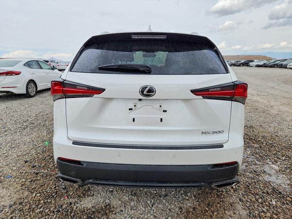 2019 LEXUS NX 300 300 Luxury