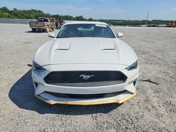 2019 FORD MUSTANG