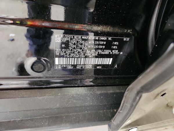 2025 TOYOTA RAV4
