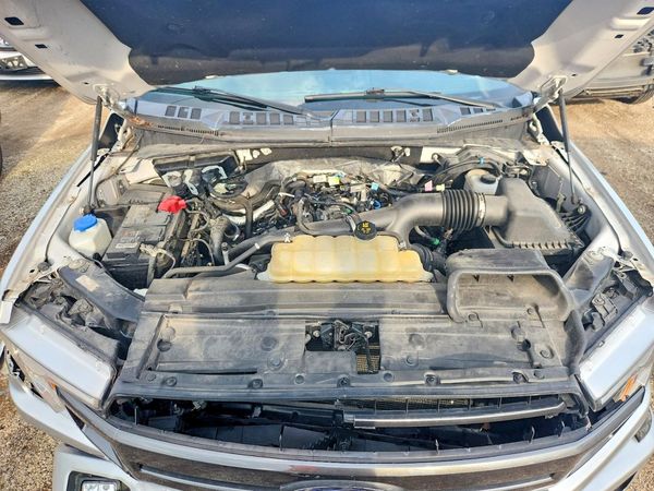 2019 FORD F150