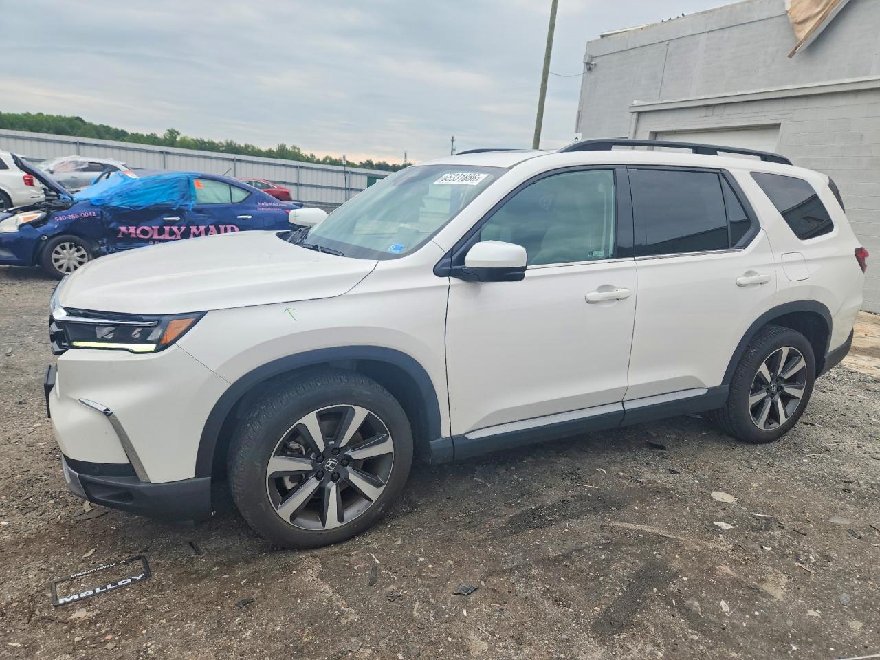 2025 HONDA PILOT TOURING, TOURING HPD