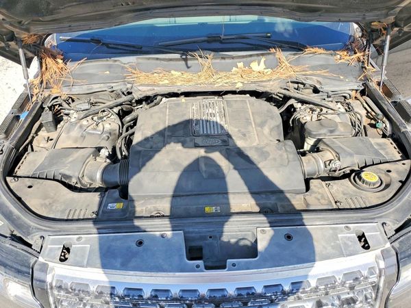 2017 LAND ROVER RANGE ROVER