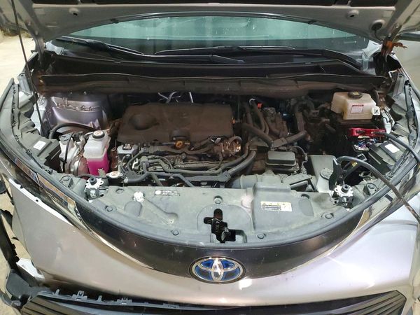 2024 TOYOTA SIENNA LE