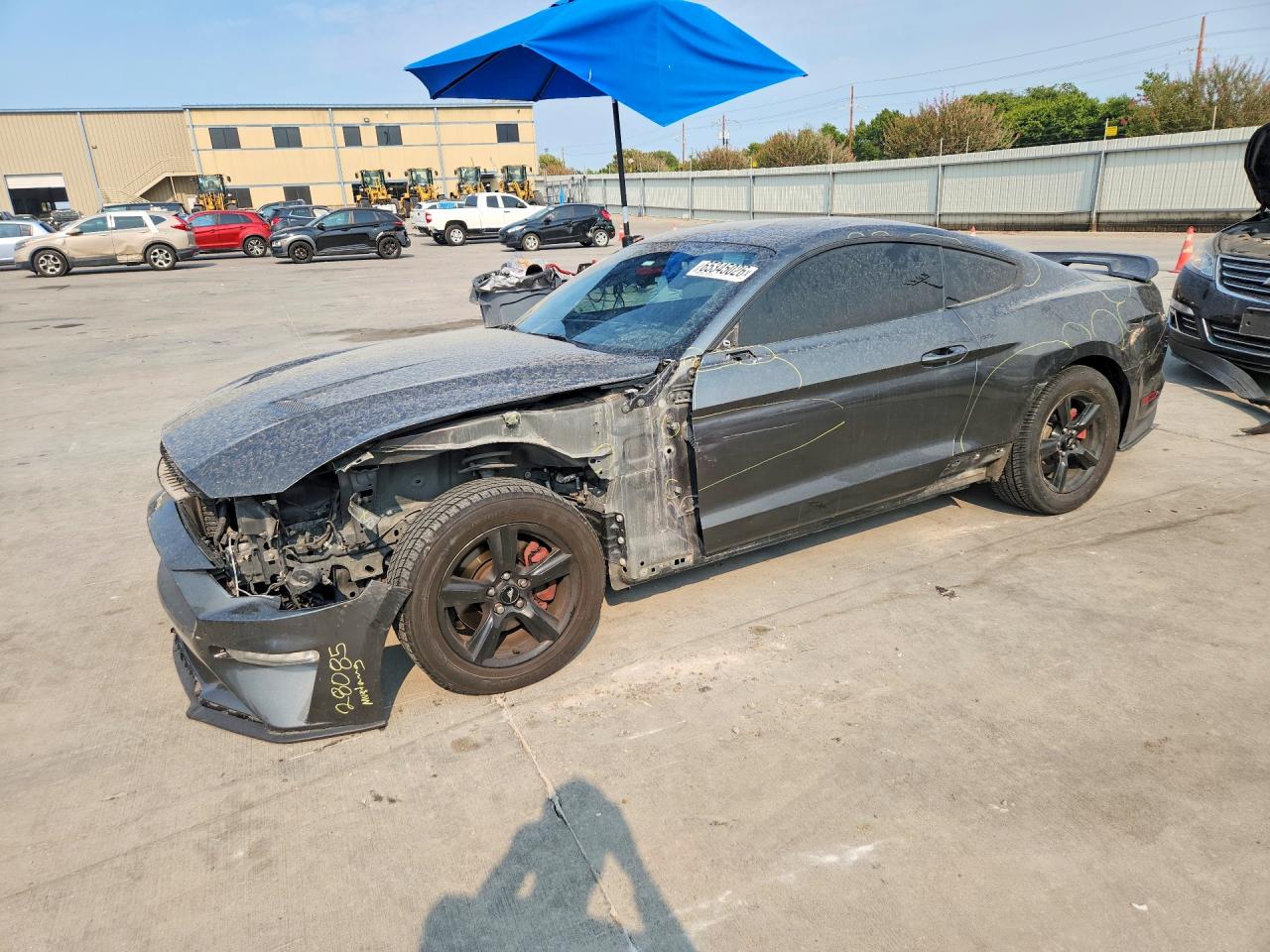 2019 FORD MUSTANG