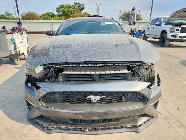 2019 FORD MUSTANG