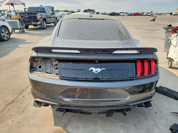 2019 FORD MUSTANG