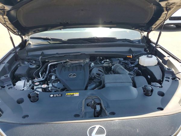 2024 LEXUS TX 500H