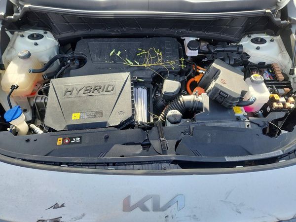 2023 KIA NIRO