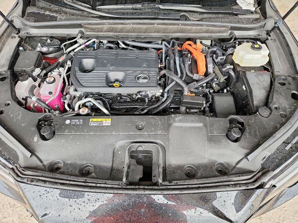 2026 LEXUS RX 450h+