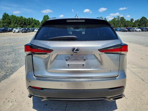 2019 LEXUS NX 300 300 Luxury — DIRR